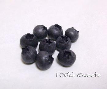 blueberry01_20100403011623.jpg