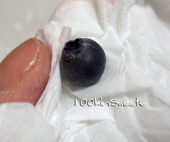 blueberry11.jpg