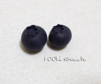 blueberry13.jpg